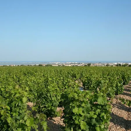 La Orana